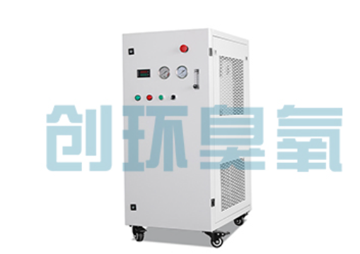 普洱石斑鱼养殖水质调控完整指南:臭氧发生器配置与操作步骤