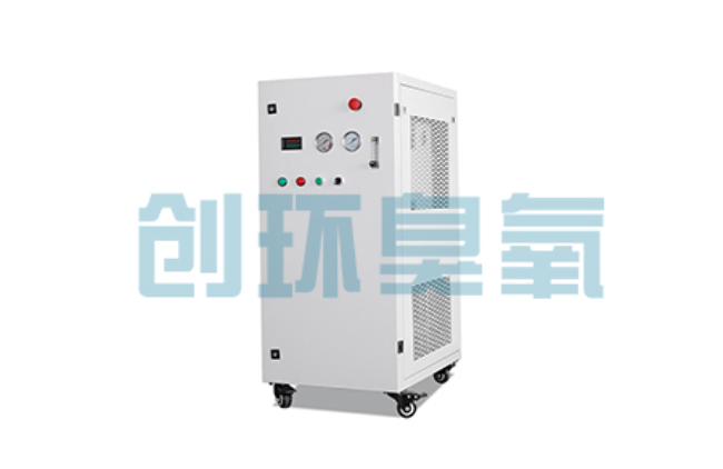 普洱比传统换水更高效?臭氧发生器在石斑鱼养殖中的水质净化原理解析